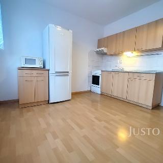 Pronájem bytu 1+1 36 m² Písek, Za Pazdernou