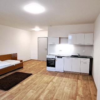 Pronájem bytu 1+kk a garsoniéry 29 m² Čížová, 