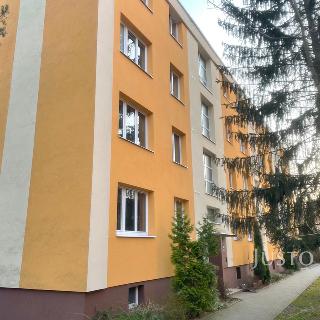 Pronájem bytu 3+1 70 m² Děčín, Kamenická