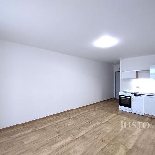 Pronájem bytu 1+kk a garsoniéry 27 m² Čížová, 