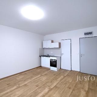 Pronájem bytu 1+kk a garsoniéry 20 m² Čížová, 