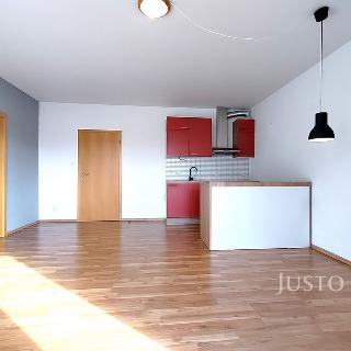 Pronájem bytu 2+kk 55 m² Písek, V Portyči