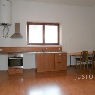 Pronájem bytu 1+kk a garsoniéry 32 m² Písek, Chelčického