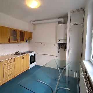 Pronájem bytu 1+1 36 m² Písek, Budějovická