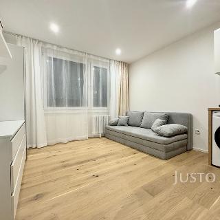 Pronájem bytu 1+kk a garsoniéry 19 m² Ústí nad Labem, Ladova