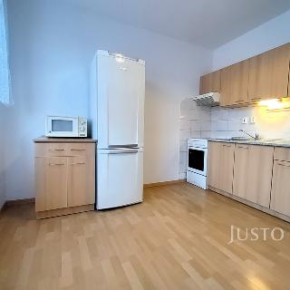 Pronájem bytu 1+1 36 m² Písek, Za Pazdernou