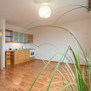 Pronájem bytu 1+kk a garsoniéry 33 m² Brno, Hájkova