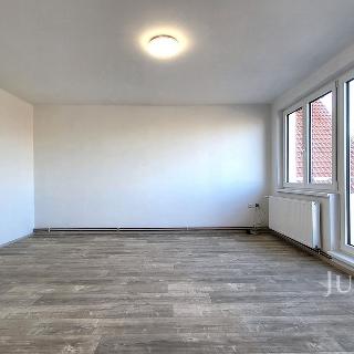 Prodej bytu 3+1 83 m² Písek, Zborovská