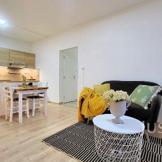 Prodej bytu 2+kk 43 m² Písek, K Háječku