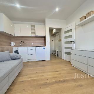 Pronájem bytu 1+kk a garsoniéry 19 m² Ústí nad Labem, Ladova