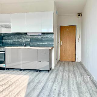 Pronájem bytu 1+1 36 m² Ústí nad Labem, Jeseninova