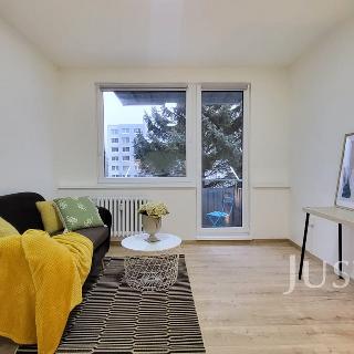 Prodej bytu 2+kk 43 m² Písek, K Háječku