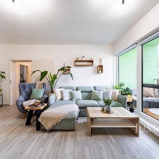 Prodej bytu 3+kk 80 m² České Budějovice