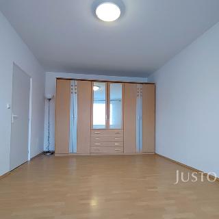 Pronájem bytu 1+1 36 m² Písek