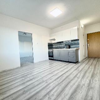 Pronájem bytu 1+1 36 m² Ústí nad Labem, Jeseninova