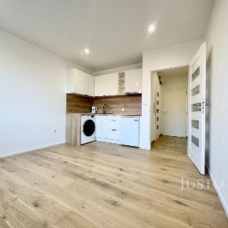 Pronájem bytu 1+kk a garsoniéry 19 m² Ústí nad Labem, Ladova