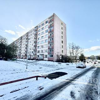 Pronájem bytu 1+kk a garsoniéry 19 m² Ústí nad Labem, Ladova