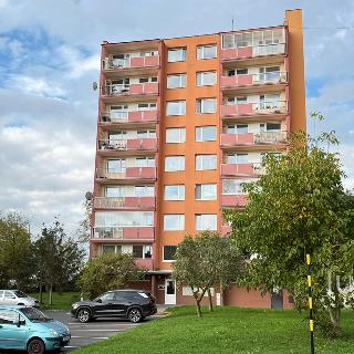 Pronájem bytu 1+kk a garsoniéry 25 m² Krupka, Sídliště