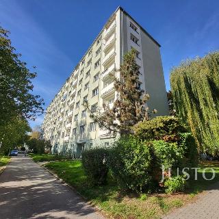 Prodej bytu 3+1 72 m² Písek, Dr. M. Horákové