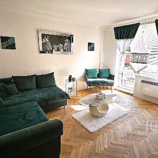 Pronájem bytu 2+1 53 m² Písek, Erbenova