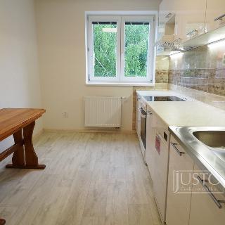 Pronájem bytu 2+1 58 m² Písek, Na Stínadlech