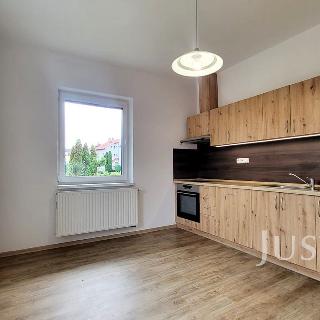 Pronájem bytu 3+1 90 m² Písek, Lipová alej