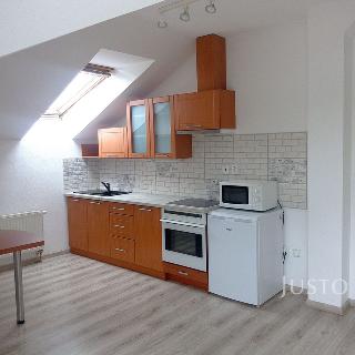 Pronájem bytu 1+kk a garsoniéry 35 m² Písek, Hostivítova