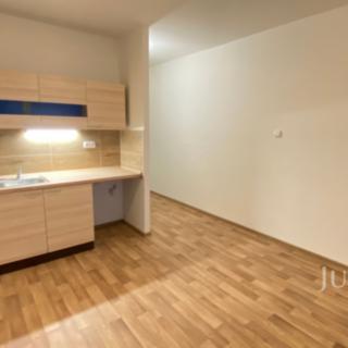 Pronájem bytu 1+kk a garsoniéry 21 m² Ústí nad Labem, Glennova