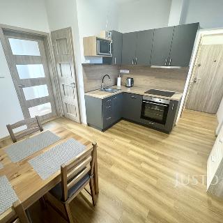 Pronájem bytu 2+1 47 m² Lovosice, Žižkova