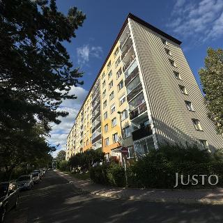 Pronájem bytu 2+kk 36 m² Ústí nad Labem, Švestková