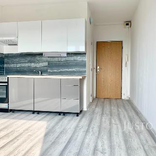 Pronájem bytu 1+1 34 m² Ústí nad Labem, Jeseninova