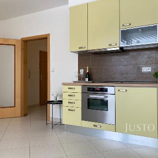 Pronájem bytu 1+kk a garsoniéry 30 m² Kamenice, Ohradní