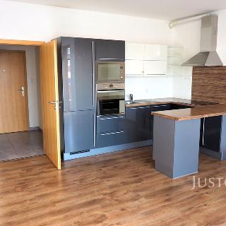 Pronájem bytu 2+kk 58 m² Písek, V Portyči