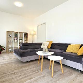 Prodej bytu 3+kk 83 m² Písek, Cihlářská