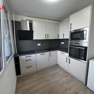 Pronájem bytu 2+kk 49 m² Praha, Křivá