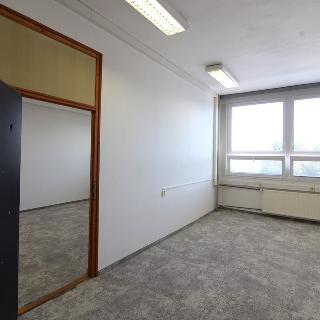 Pronájem kanceláře 43 m² České Budějovice, Rudolfovská tř.