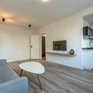 Prodej bytu 1+kk a garsoniéry 30 m² Praha, Valentova