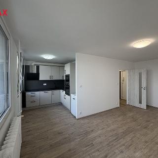 Pronájem bytu 2+1 49 m² Praha, Křivá