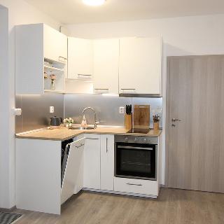 Pronájem bytu 1+kk a garsoniéry 31 m² Praha, Horolezecká