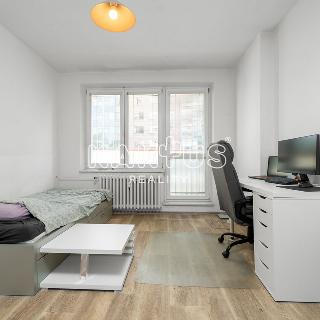 Pronájem bytu 1+kk a garsoniéry 28 m², 30. dubna