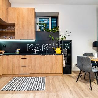 Pronájem bytu 1+kk, garsoniery 43 m² Ostrava