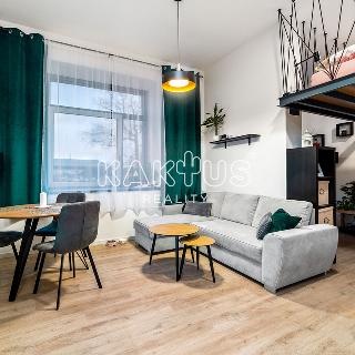 Pronájem bytu 1+kk a garsoniéry 43 m² Ostrava, Křižíkova