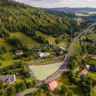 Prodej stavební parcely 2 693 m² Holčovice, 