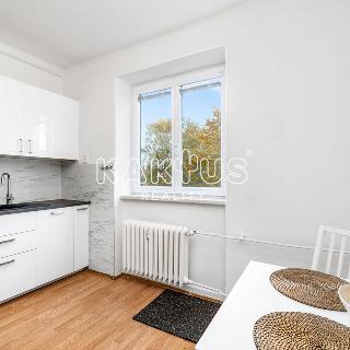 Pronájem bytu 2+1 59 m² Ostrava, Dvorní