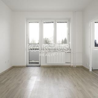 Pronájem bytu 1+1 30 m² Ostrava, Ludvíka Podéště