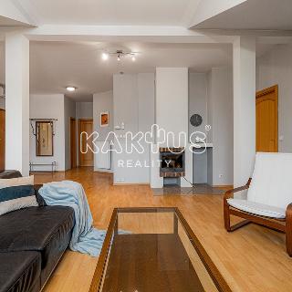 Pronájem bytu 3+kk 125 m² Ostrava, Škroupova