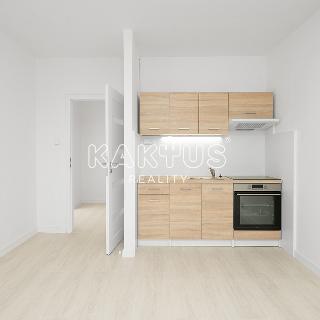 Pronájem bytu 1+1 45 m² Ostrava, Na Fojtství