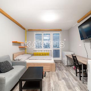 Pronájem bytu 1+kk a garsoniéry 24 m² Ostrava, U Parku