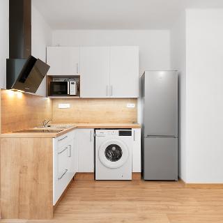 Pronájem bytu 1+kk a garsoniéry 20 m² Ostrava, Svojsíkova