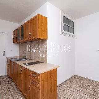 Pronájem bytu 1+1 38 m² Ostrava, Jana Ziky